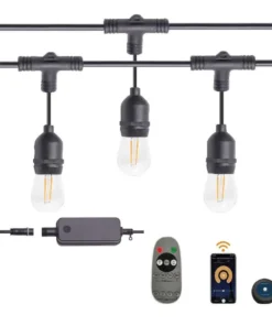 Smart String Lights: Illuminate Your Space with Voice and App Control
